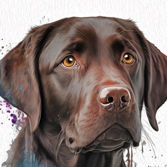 8x10 Labrador Retriever Dog Portrait Watercolor Oil‎ Painting Art Print - Picture 3 of 7